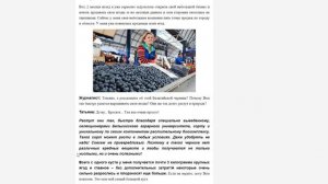 Черника Ягодный Урожай – полное разоблачение лохотрона | #БезЛапши 75