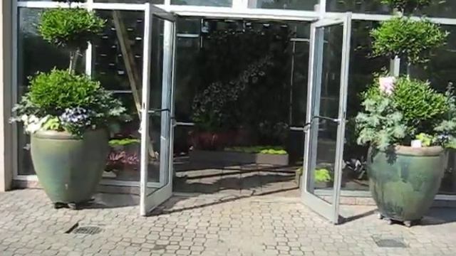 ABG Orchid Daze featuring TerraScreen 2.AVI смотреть онлайн