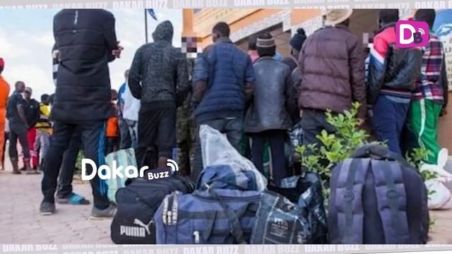 Espagne : bientôt une série de vols retour vers le Sénégal pour les migrants débarqués aux Canaries смотреть онлайн