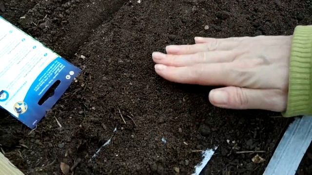 НА САМОИЗОЛЯЦИИ СЕЮ в ТЕПЛИЦУ ГОРОХ, РЕДИС И ЗЕЛЕНЬ ! СТРОИМ ПОЛИКАРБОНАТНУЮ ТЕПЛИЦУ, 10 ПЕРЕПЕЛОК смотреть онлайн