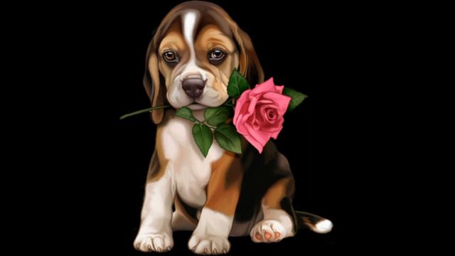 Цікаві факти про собак!/Interesting facts about dogs! смотреть онлайн