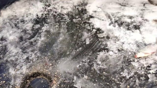 Рыбалка на Исетском озере смотреть онлайн