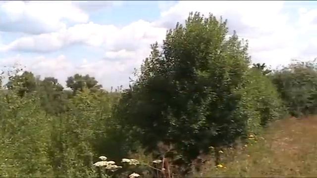 Продается Участок - Серпуховский р-н, дер. Селино, 12 сот. смотреть онлайн