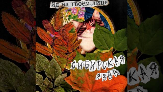 Терновник (Abridged) смотреть онлайн