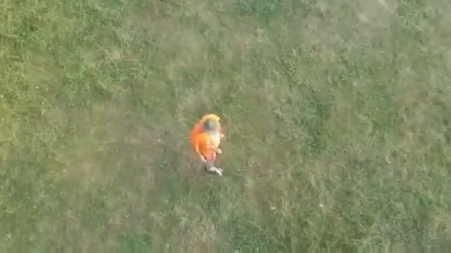 View from the quadrocopter DJI Spark смотреть онлайн