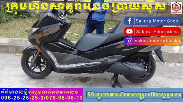 HONDA FORZA250CC|  សាគូរ៉ា អិនធឺបាយសុិស - Sakura Enterprises