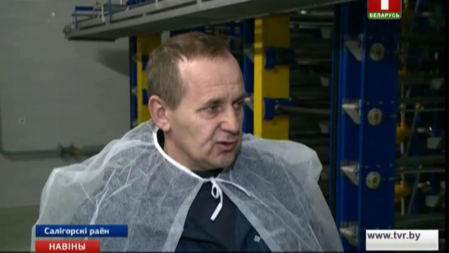 Белорусские перепеловоды увеличивают экспорт перепелиных яиц