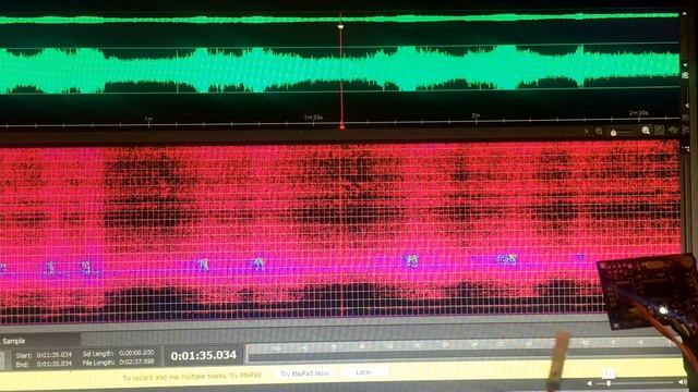Can-B knock monitor testing - A Canbus enabled knock monitor смотреть онлайн