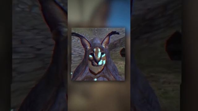 Хорошие пельмени это очень очень вкусно (by DailyRay) смотреть онлайн