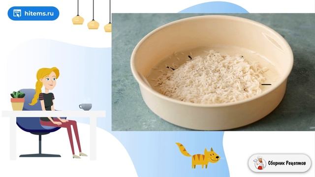 Сборник рецептов