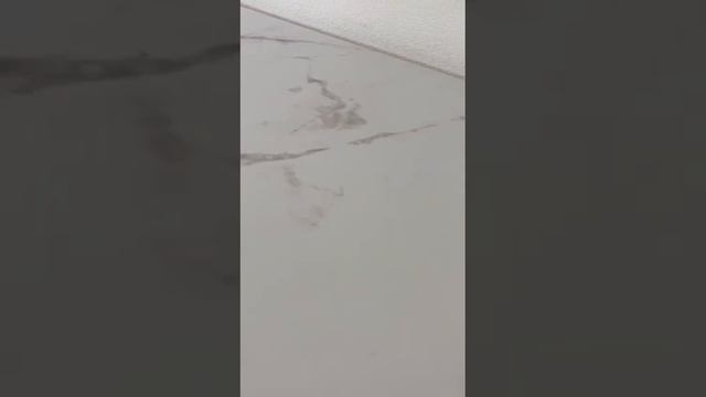 Стол 2400-1100-32 мм модель 1096 смотреть онлайн