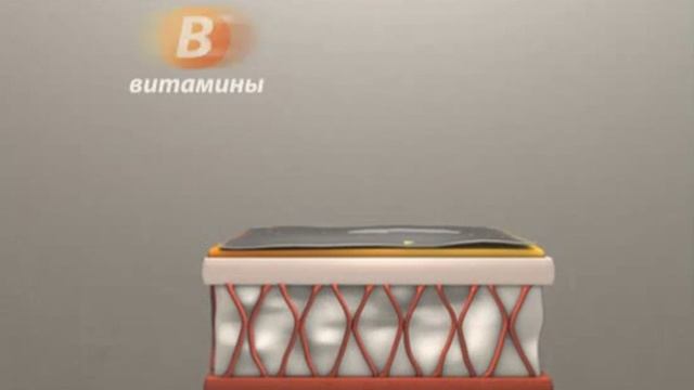 медовое обертывание смотреть онлайн