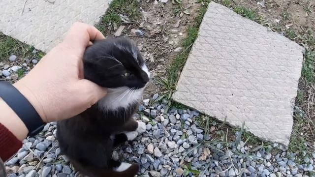 Афганский казан. Готовим хаш! Говяжья ножка. смотреть онлайн