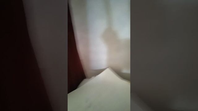 ДЛИННЫЙ ПАЛЕЦ? смотреть онлайн