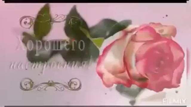 500010429-SP С пятницей, чудесных выходных (0.31) смотреть онлайн