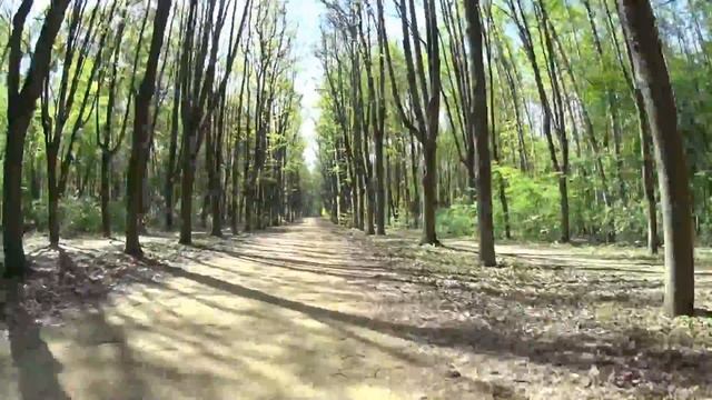 Велопрогулка #2. Кусково (Москва) - Sony HDR-AS100V смотреть онлайн