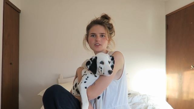 day in the life: Bird Box edition смотреть онлайн