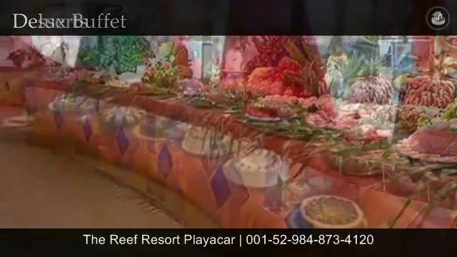 The Reef Resort @ Playacar смотреть онлайн