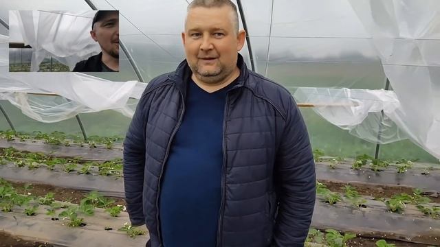 Новые клубничные друзья. Дима из ст.Крыловской смотреть онлайн