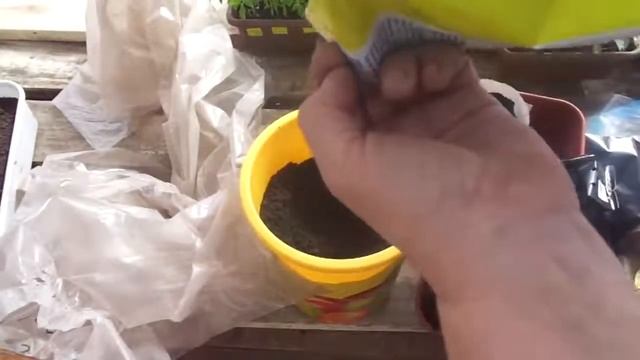 Быстро и Бесплатно! Делаем Все Стаканчики Своими Руками Под Рассаду!!! смотреть онлайн