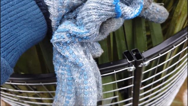 Доработка укрытия пальм! смотреть онлайн