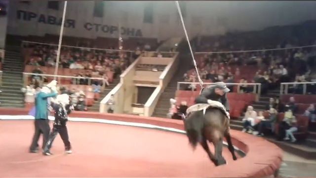 Луганский Цирк. Октябрь 2017 год смотреть онлайн