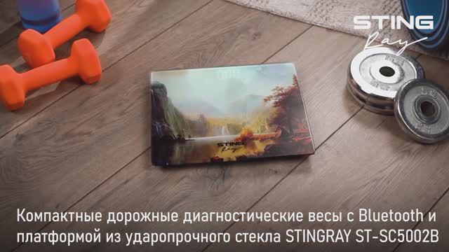 Напольные диагностические весы STINGRAY ST-SC5002B