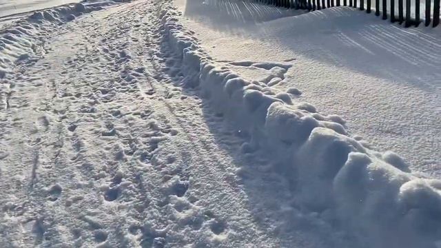 Каникулы в Загарино: вместе с детьми/02.01.21 смотреть онлайн