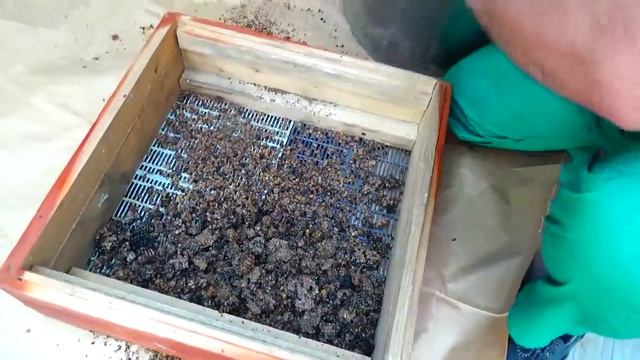 Перга 2018!! Вкусно и полезно!!