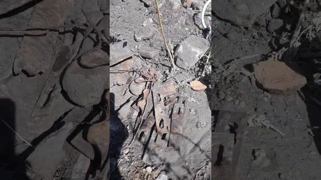 ПОИСКИ с Golden Max продолжаются, первые серьезные результаты!  отзыв в работе