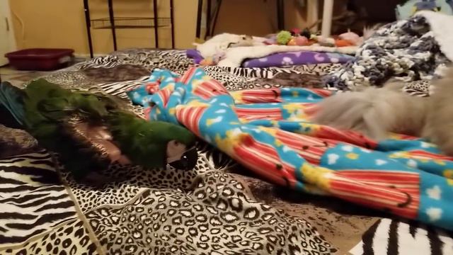 SWEET DREAMS EVERYONE. WE LOVE YOU ALL 💖 смотреть онлайн