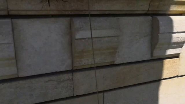Древесная лягушка или квакша смотреть онлайн