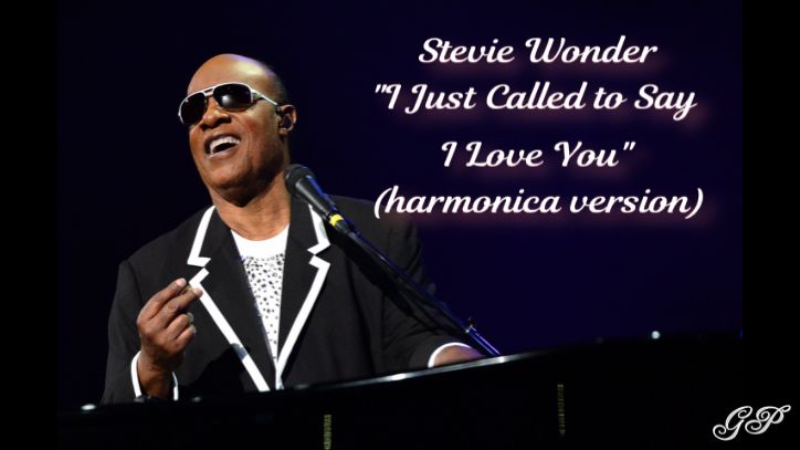 ГГ - Stevie Wonder "I just called to say I love you" (harmonica version) смотреть онлайн