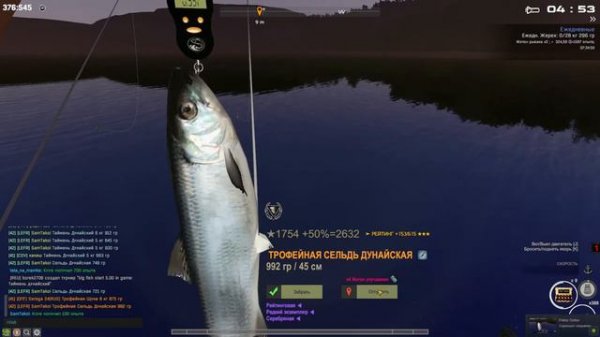 Fisher Online : Дунай. Сельдь дунайская.