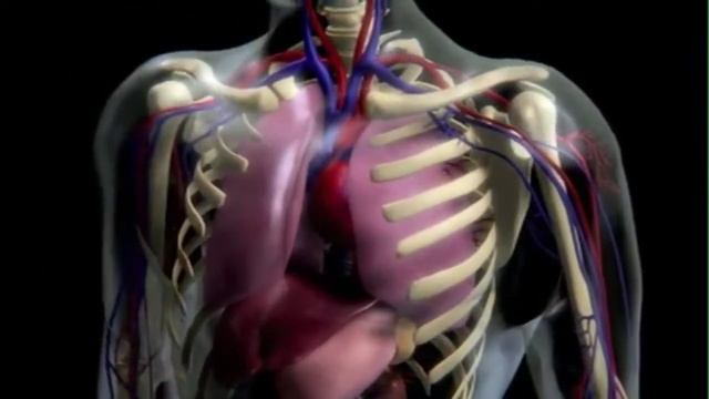 Ожоговая болезнь смотреть онлайн