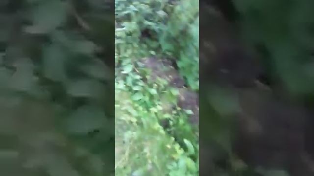 4.07.2022 расстояние от забора стройки Индустриального парка в д.Талицы до родника и реки Талица смотреть онлайн