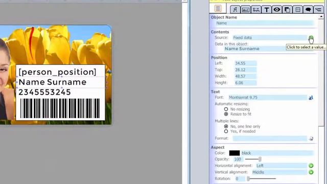 How to connect an Excel Spreadsheet to Emedia CS Card Designer смотреть онлайн