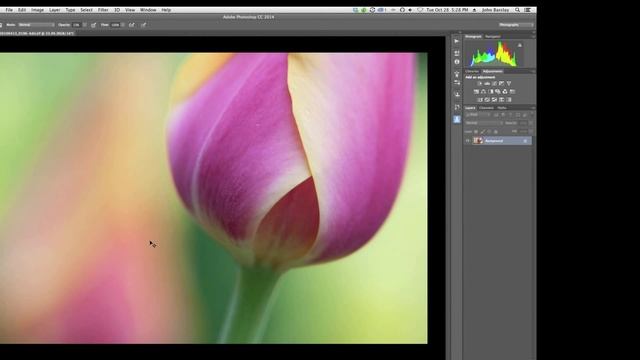 Crafting Your Images with Topaz Plugins, presented by John Barclay смотреть онлайн