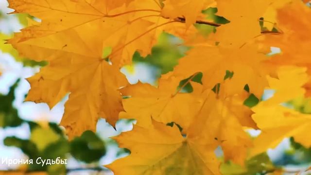 Муж задарма продал дом с больной женой незнакомцу, но спустя время увидел их... смотреть онлайн