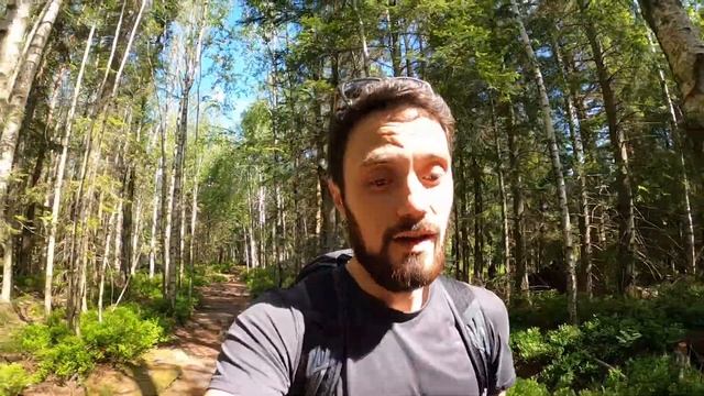 My FAVORITE HIKING spot - Germany's BLACK FOREST смотреть онлайн