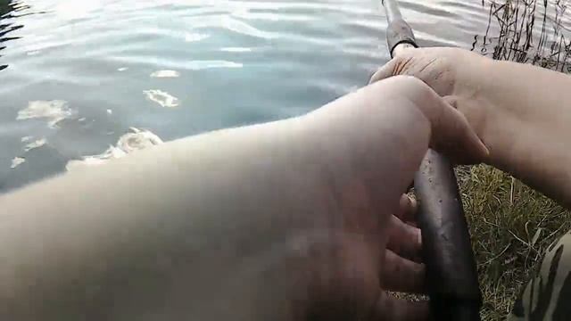 Ловлю карася на поплавок в Ляхово на платном водоеме. смотреть онлайн