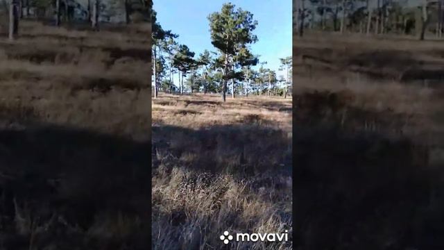 Белоглинка. Природа. Сбор мусора. Проблема пластика. смотреть онлайн