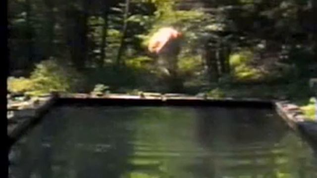 Bill Viola, The reflecting pool смотреть онлайн