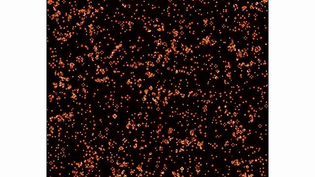 We're made of StarStuff. (A Conway's Game Of Life Simulation) смотреть онлайн