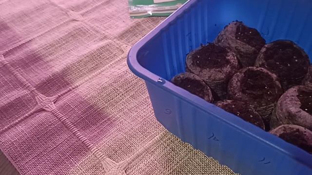 ПОСЕВ ЭУСТОМЫ СТАРТУЕТ // СЕЗОН 2024 Г // ВАЦАП ДЛЯ ЗАКАЗА КАТАЛОГА 89152458159 смотреть онлайн