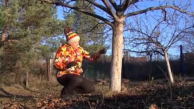 Белим деревья. Удачные заметки смотреть онлайн