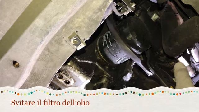 Honda Jazz 3 Cambio Olio E Filtro Olio