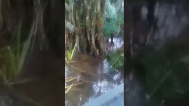 cesar antonio bruna soto(3) смотреть онлайн