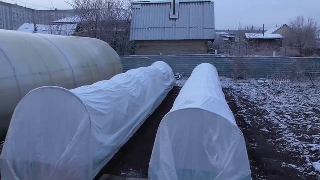 Снова мороз и снег! Томаты под снегом. Обзор погоды и огорода 2 мая 2023. смотреть онлайн