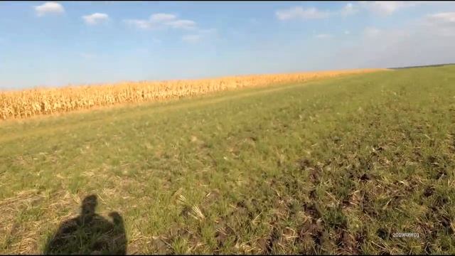 Хим. обработка после пшеницы смотреть онлайн
